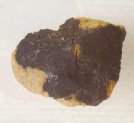 Chassigny - meteoryt marsjański