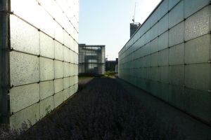 P1190676